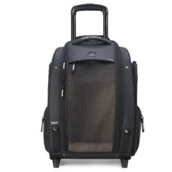 Delsey Raspail - 2-Rollen-Tiertrolley 48 Cm Nachhaltig
