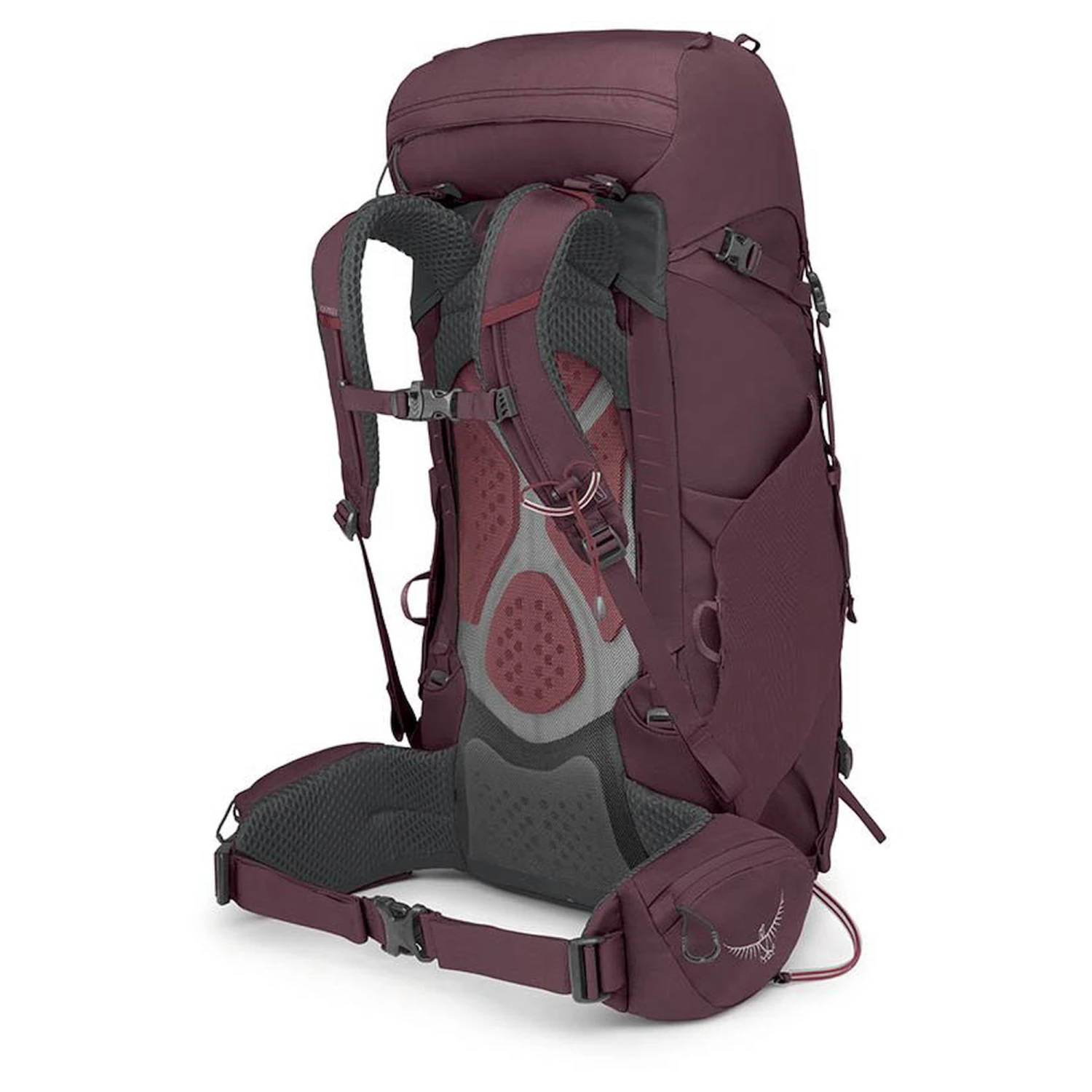 Osprey Kyte 38 WXS/S - Trekkingrucksack 66 Cm 2 Osprey Kyte 38 WXS/S - Trekkingrucksack 66 Cm – Bild 2